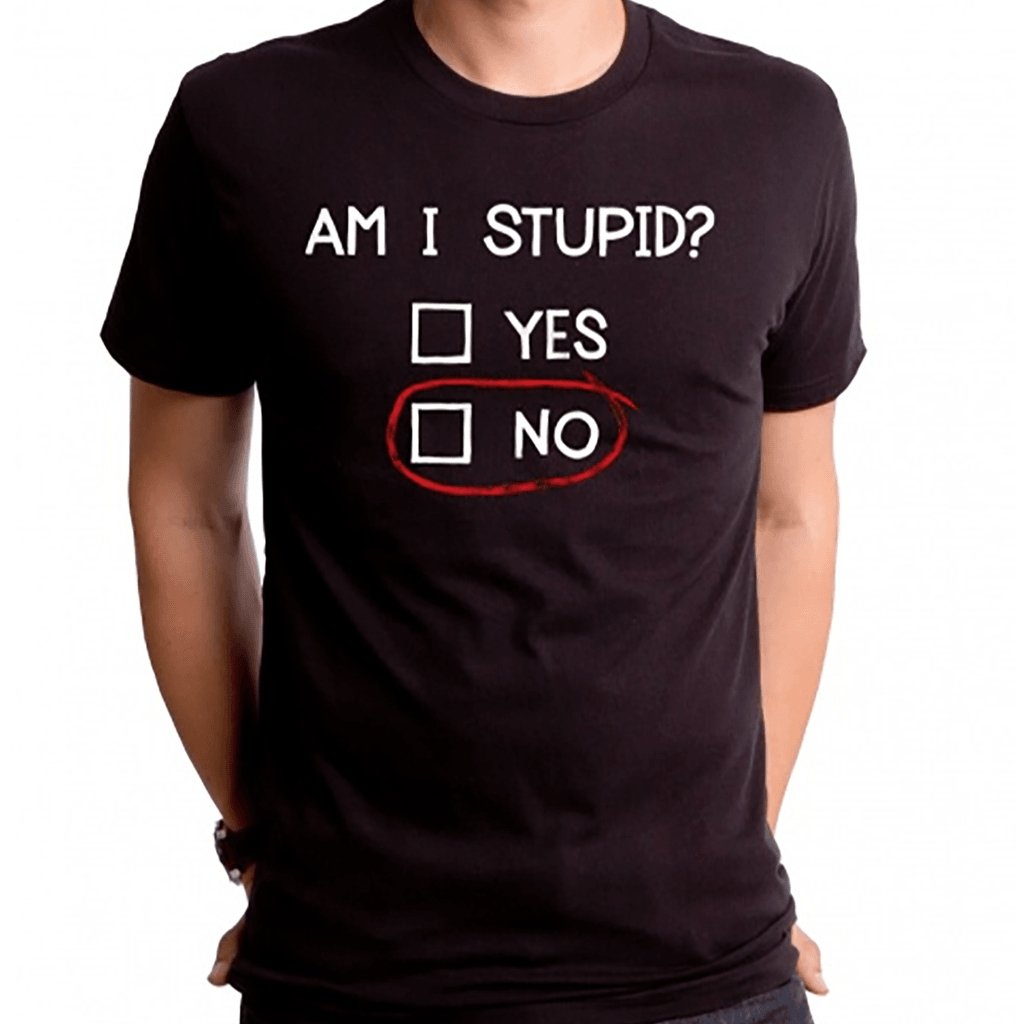 Am I Stupid? Men's Tee - [aka]