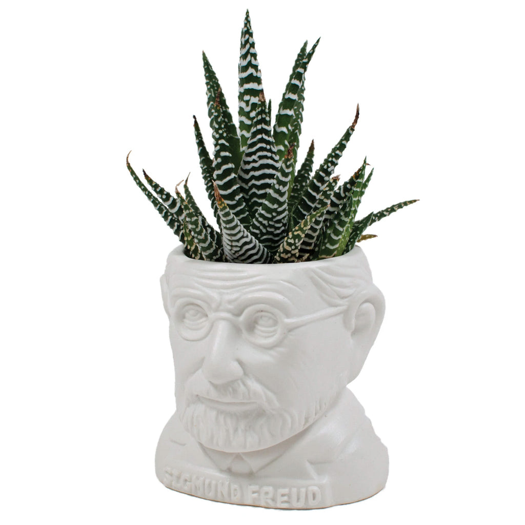 Sigmund Freud Planter - [aka]